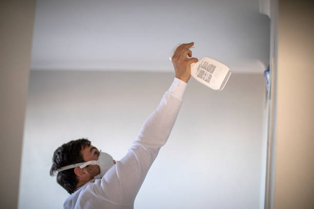 Best Mold Remediation for Schools in Sun Village, CA