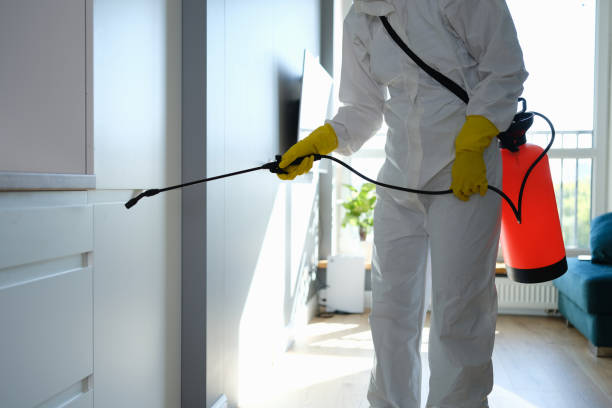 Best Mold Remediation for Specific Building Types in Sun Village, CA