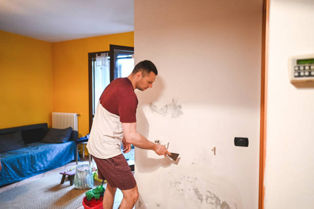 Best Kitchen Mold Remediation in Sun Village, CA